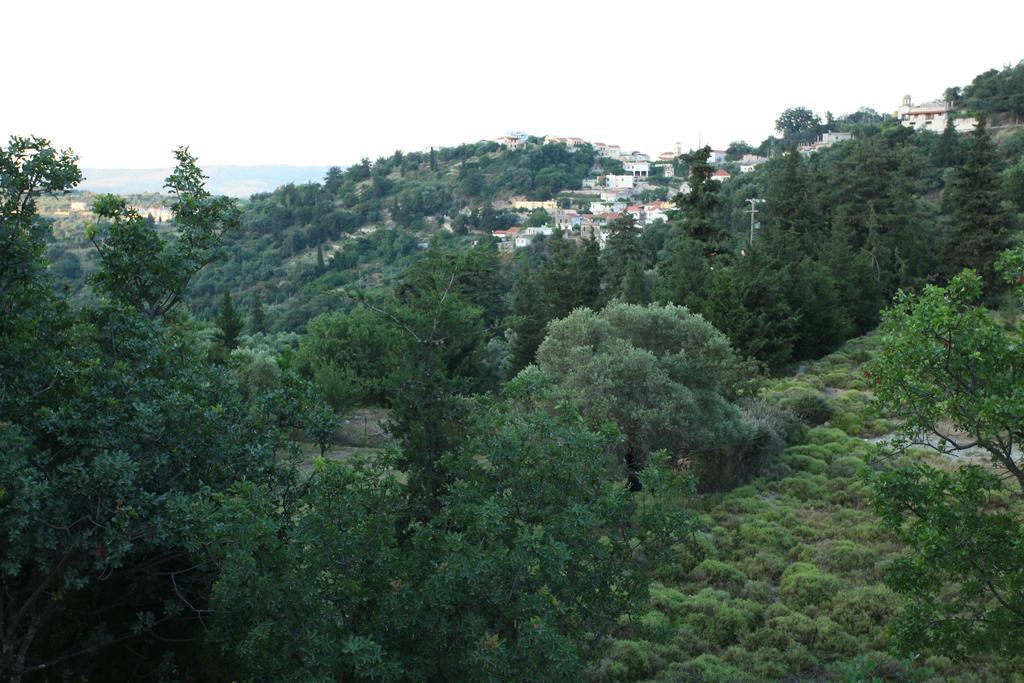 Villa Athina آيرأوبوليس الغرفة الصورة